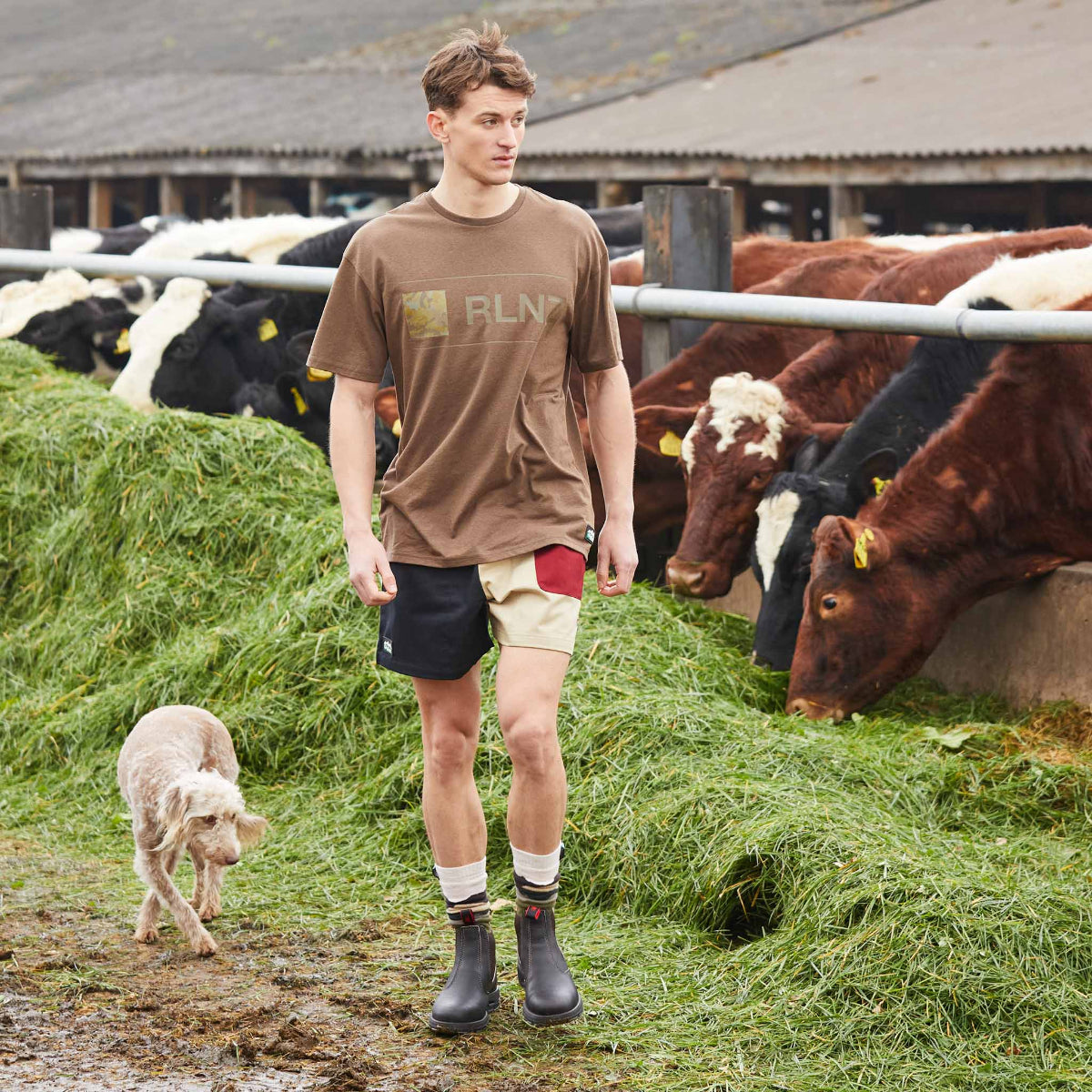 Man walking with a dog on a farm with cows in the background in ridgeline clothing