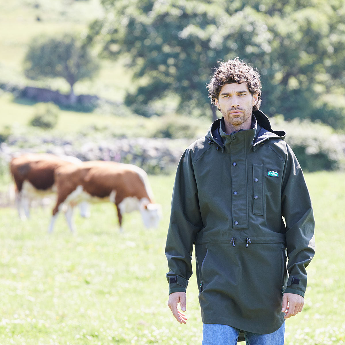 Man wearing a green waterproof jacket standing in a field with cows in the background