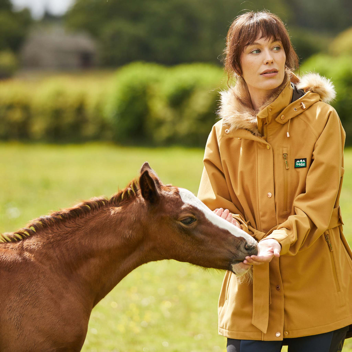 Woman wearing a mustard yellow coat with a Ridgeline Clothing brand logo, feeding a horse