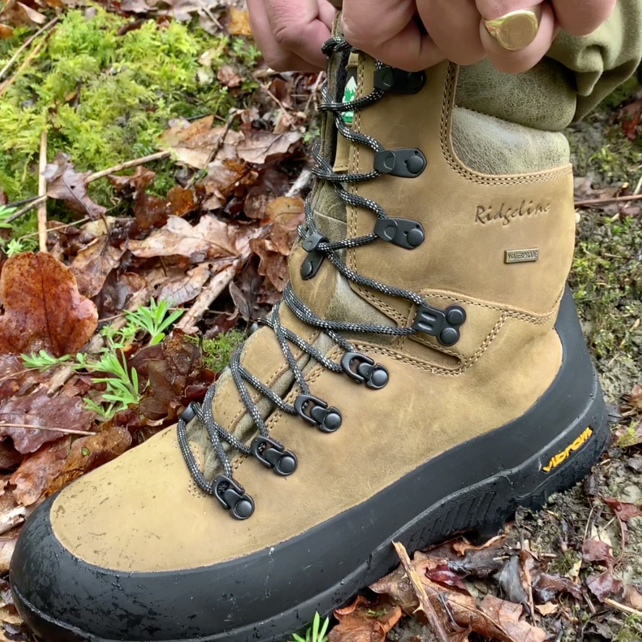 Footwear