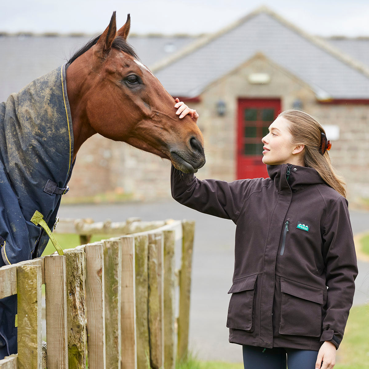 Dark brown hooded outdoor jacket with high collar and front zip, worn outdoors while petting a horse.