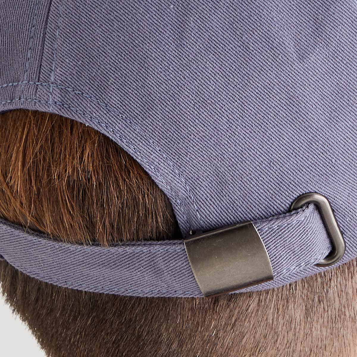 Close-up of a dog wearing a purple collar with a metal buckle.